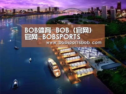 案例展示八