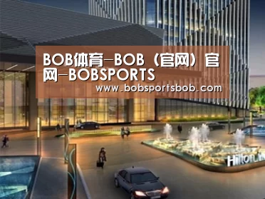 案例展示二