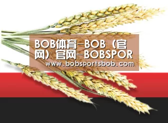 BOB体育-BOB（官网）官网-BOBSPORTS