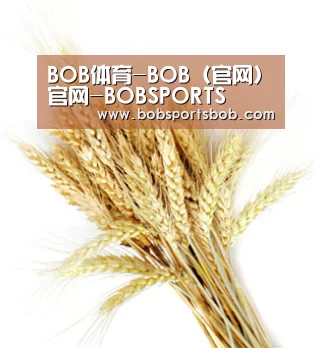 BOB体育-BOB（官网）官网-BOBSPORTS