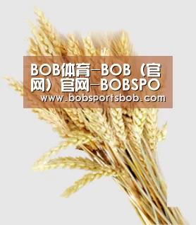 BOB体育-BOB（官网）官网-BOBSPORTS