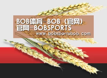 BOB体育-BOB（官网）官网-BOBSPORTS