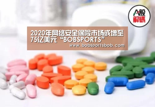 2020年网络安全保险市场或增至75亿美元“BOBSPORTS”(图2) BOB体育平台