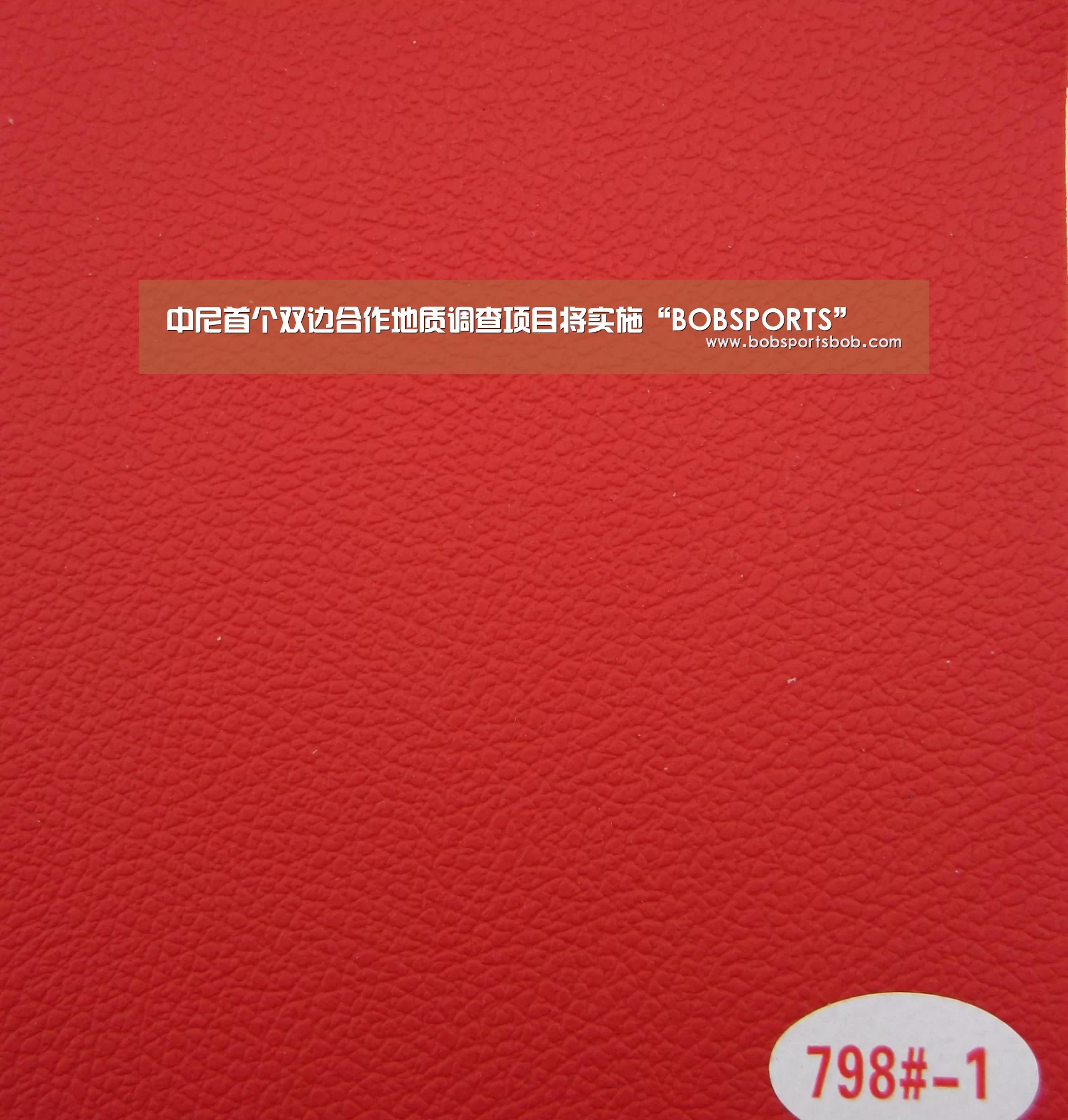 中尼首个双边合作地质调查项目将实施“BOBSPORTS”