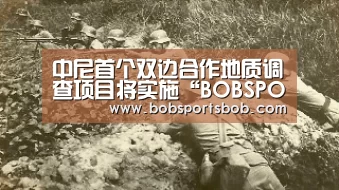 BOB体育