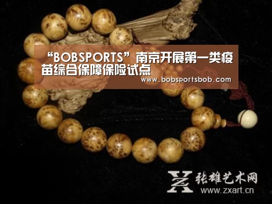 “BOBSPORTS”南京开展第一类疫苗综合保障保险试点(图3)