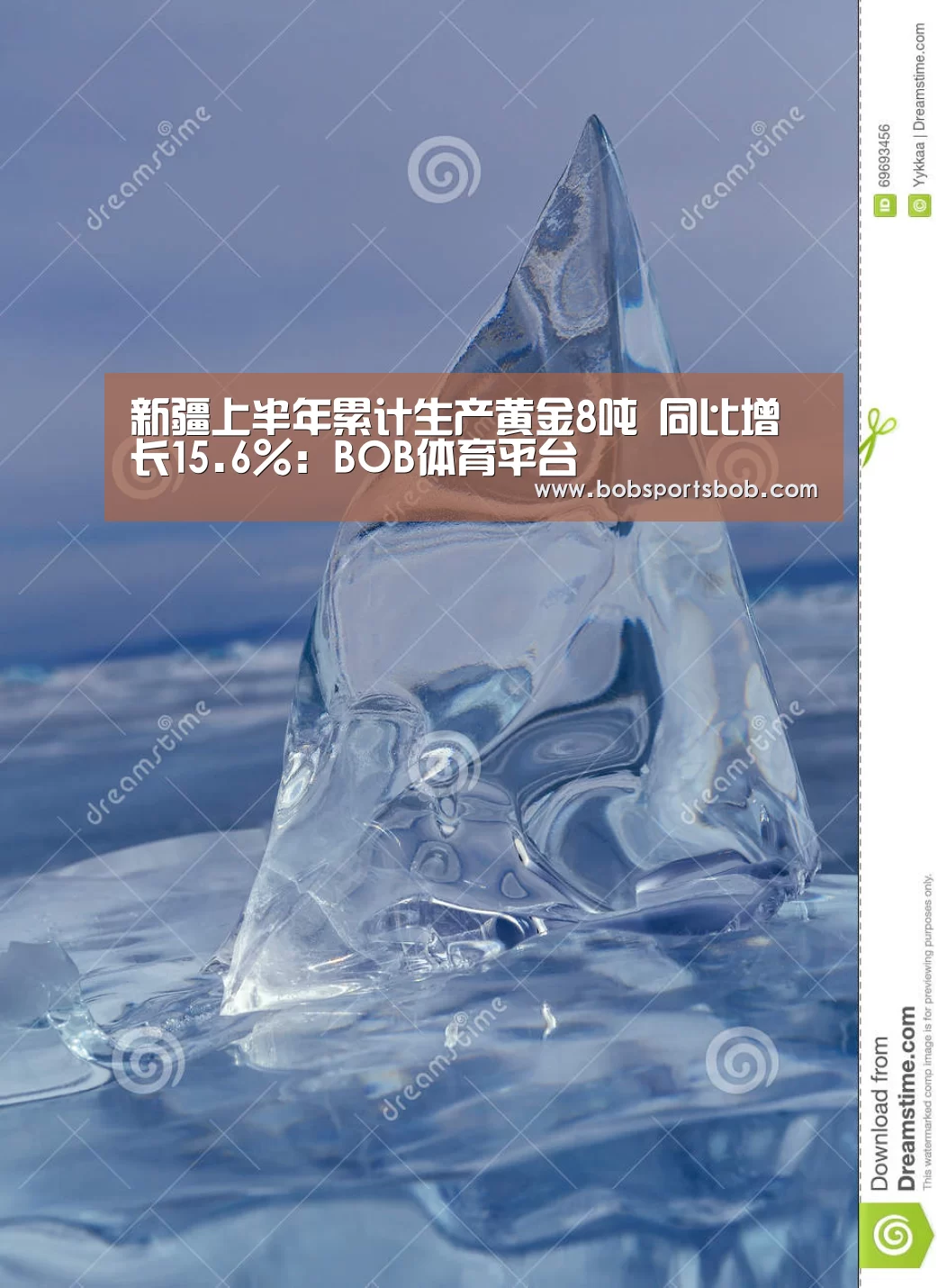 BOB体育