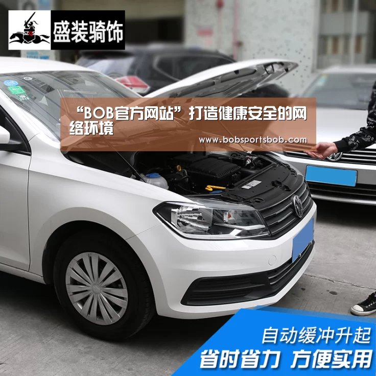 “BOB官方网站”打造健康安全的网络环境(图1) BOB官方网站