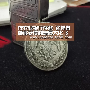 BOB体育平台