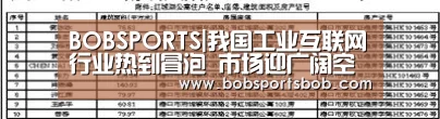 BOBSPORTS|我国工业互联网行业热到冒泡 市场迎广阔空间(图4)