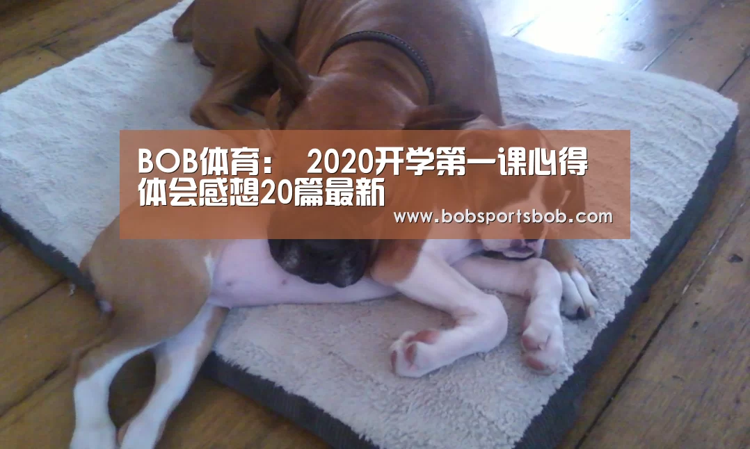 BOB体育：
2020开学第一课心得体会感想20篇最新(图1)