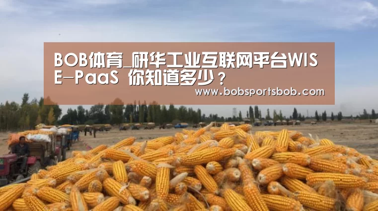 BOB体育_研华工业互联网平台WISE-PaaS 你知道多少?(图1) BOB体育_研华工业互联网平台WISE-PaaS 你知道多少?(图1)