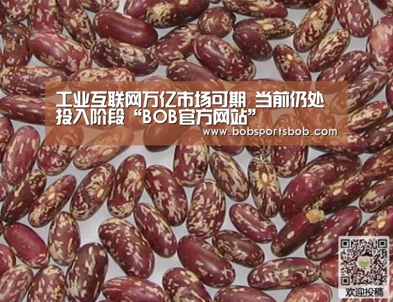 工业互联网万亿市场可期 当前仍处投入阶段“BOB官方网站”(图2) BOB体育