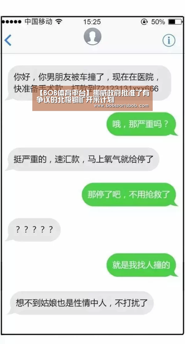 【BOB体育平台】挪威政府批准了有争议的北极铜矿开采计划(图1) BOB体育平台