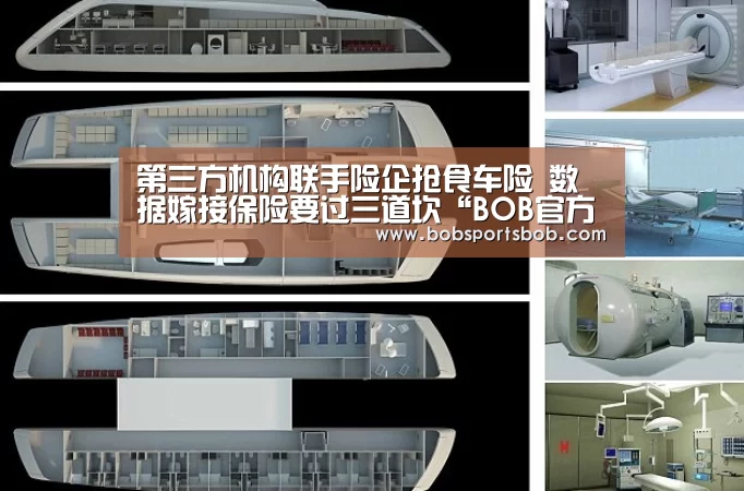 第三方机构联手险企抢食车险 数据嫁接保险要过三道坎“BOB官方网站”(图1) BOB体育