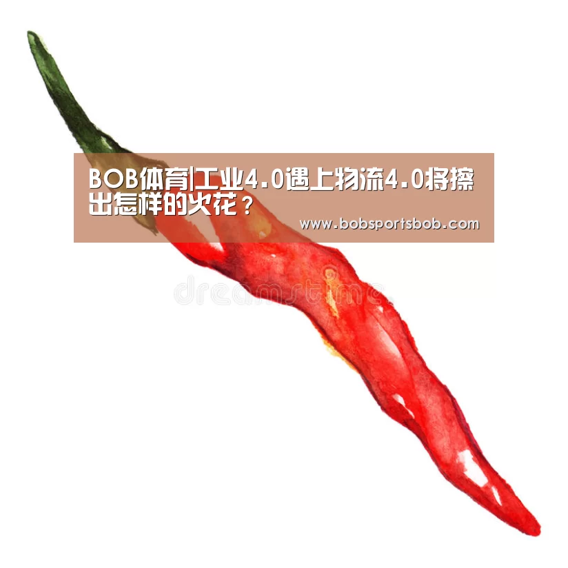 BOB体育|工业4.0遇上物流4.0将擦出怎样的火花?(图1) BOB官方网站