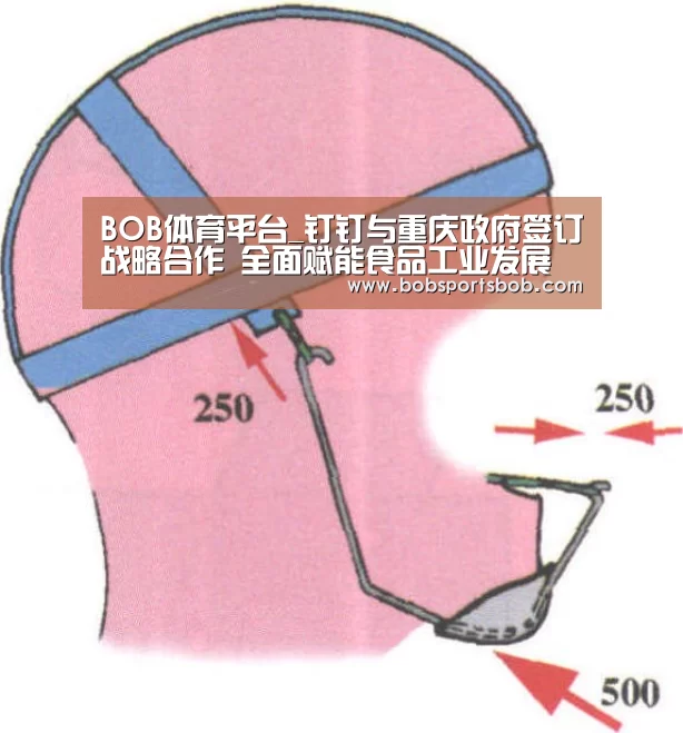 BOB体育平台_钉钉与重庆政府签订战略合作 全面赋能食品工业发展(图2) BOB官方网站