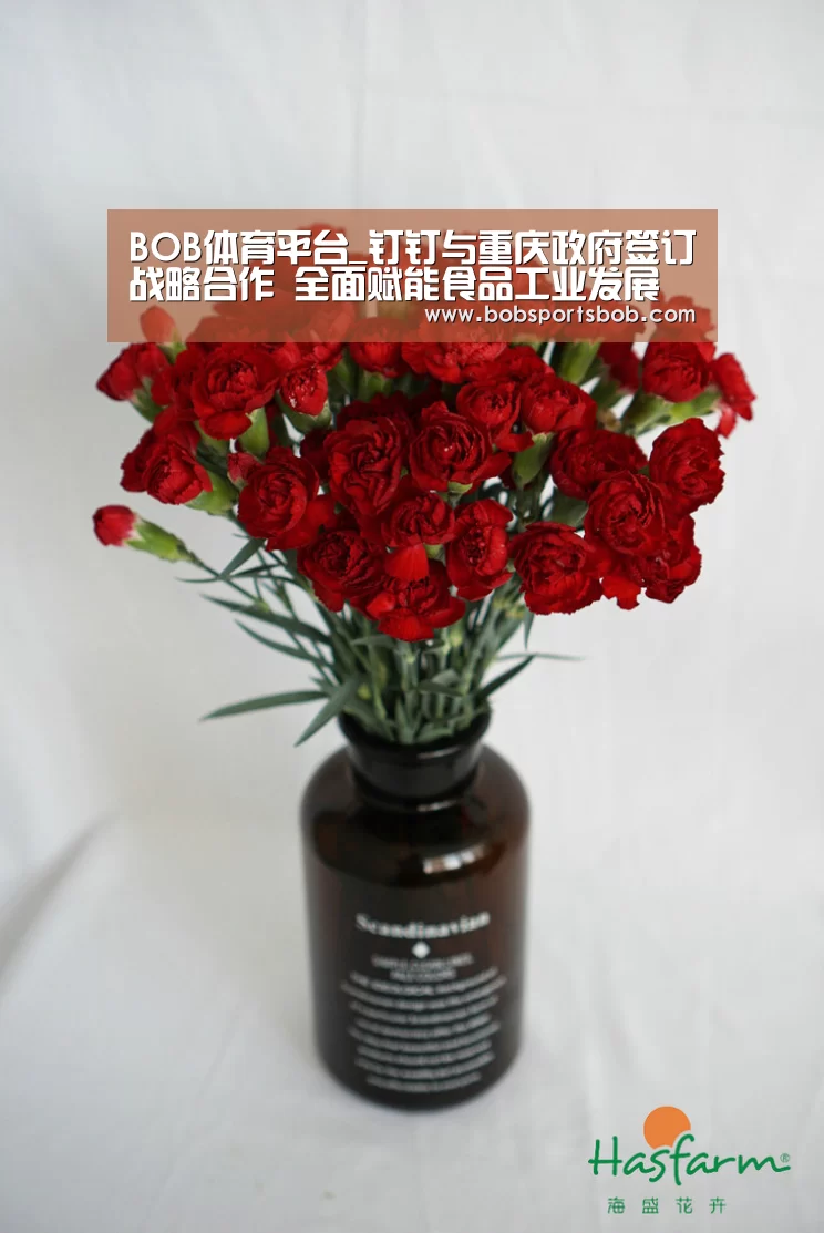 BOB体育平台_钉钉与重庆政府签订战略合作 全面赋能食品工业发展(图4) BOB体育