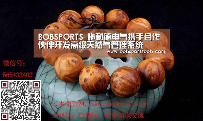 BOB体育