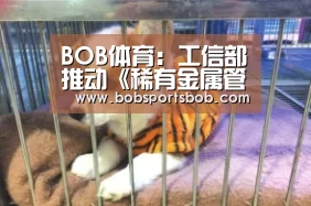 BOB体育:工信部推动《稀有金属管理条例》尽快出台_政策法规_新闻_矿道网(图4) BOB体育:工信部推动《稀有金属管理条例》尽快出台_政策法规_新闻_矿道网(图4)