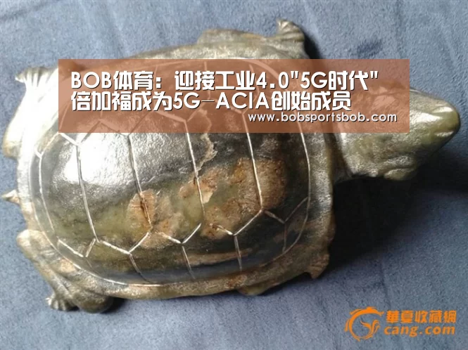BOB官方网站